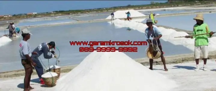 Distributor Garam Kasar Madura Harga Grosir Surabaya